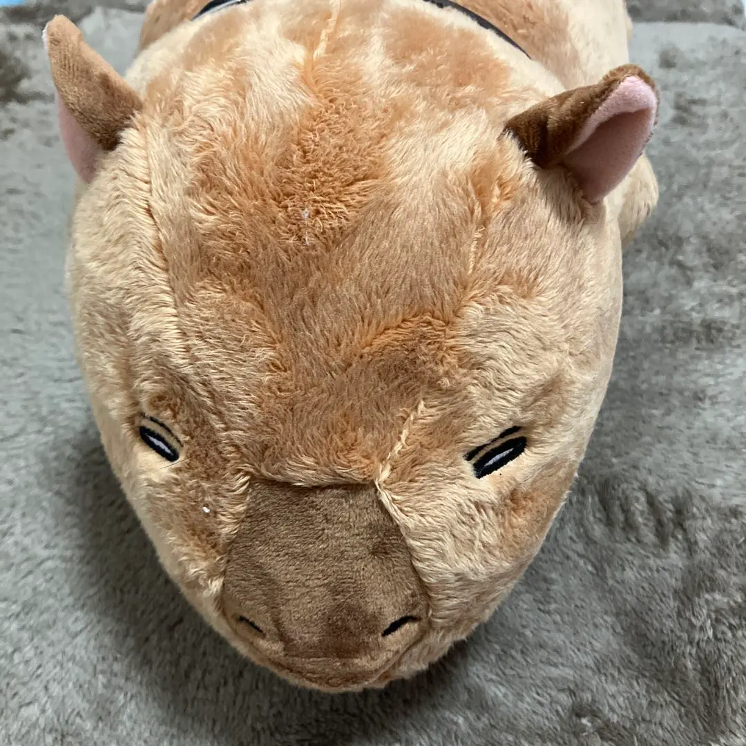 【最終値下げ】雷神丸ぬいぐるみ　ワールドトリガー ワールドトリガー ワートリ 雷神丸 カピバラ 限定 ぬいぐるみ