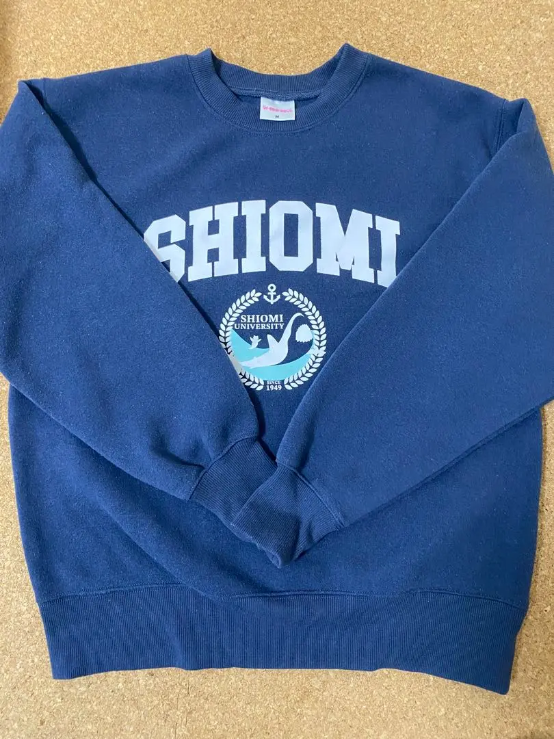 Amazon.co.jp: マイセカンドアオハル カレッジロングTシャツ