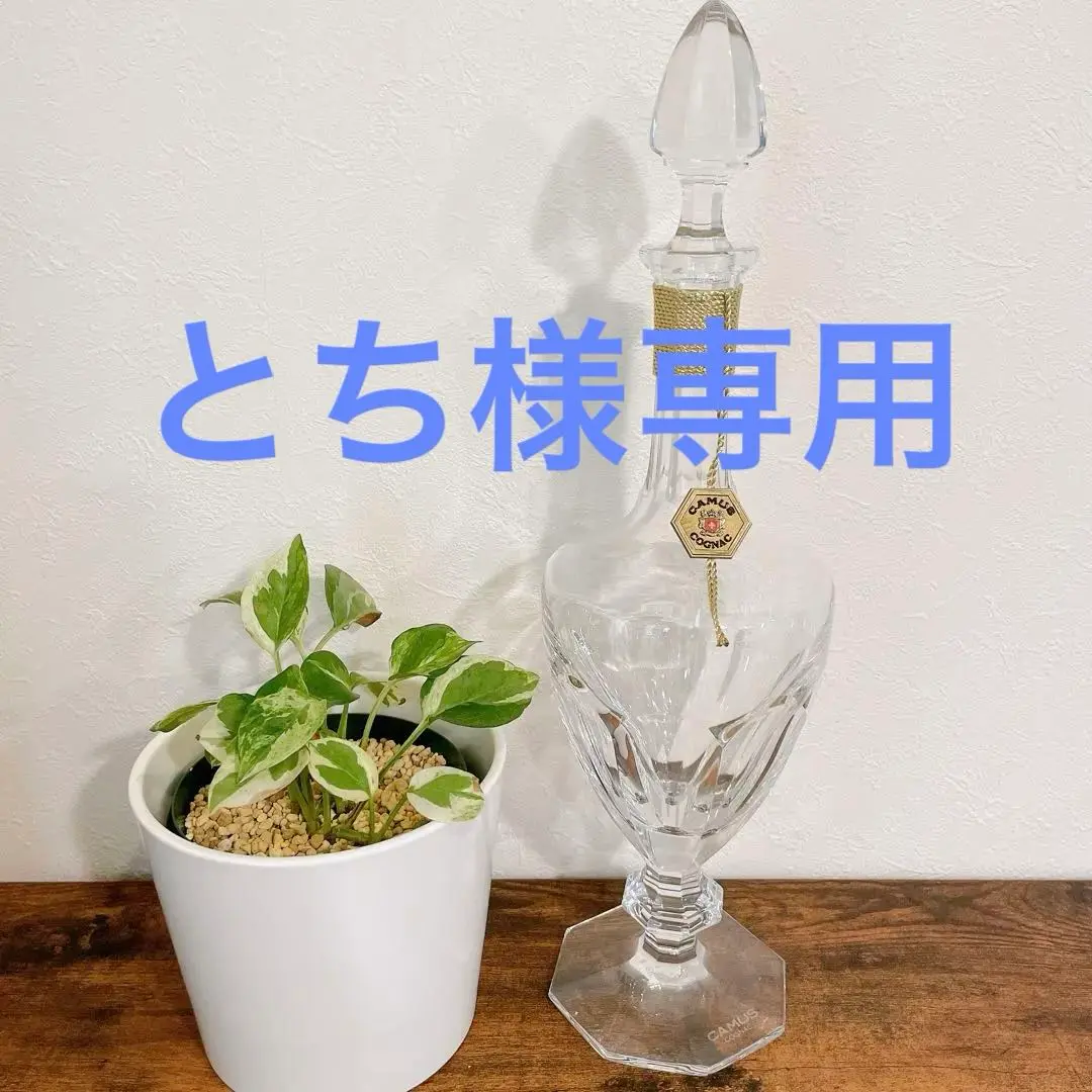 2025年最新】カミュ ミシェル ロイヤル 空瓶の人気アイテム