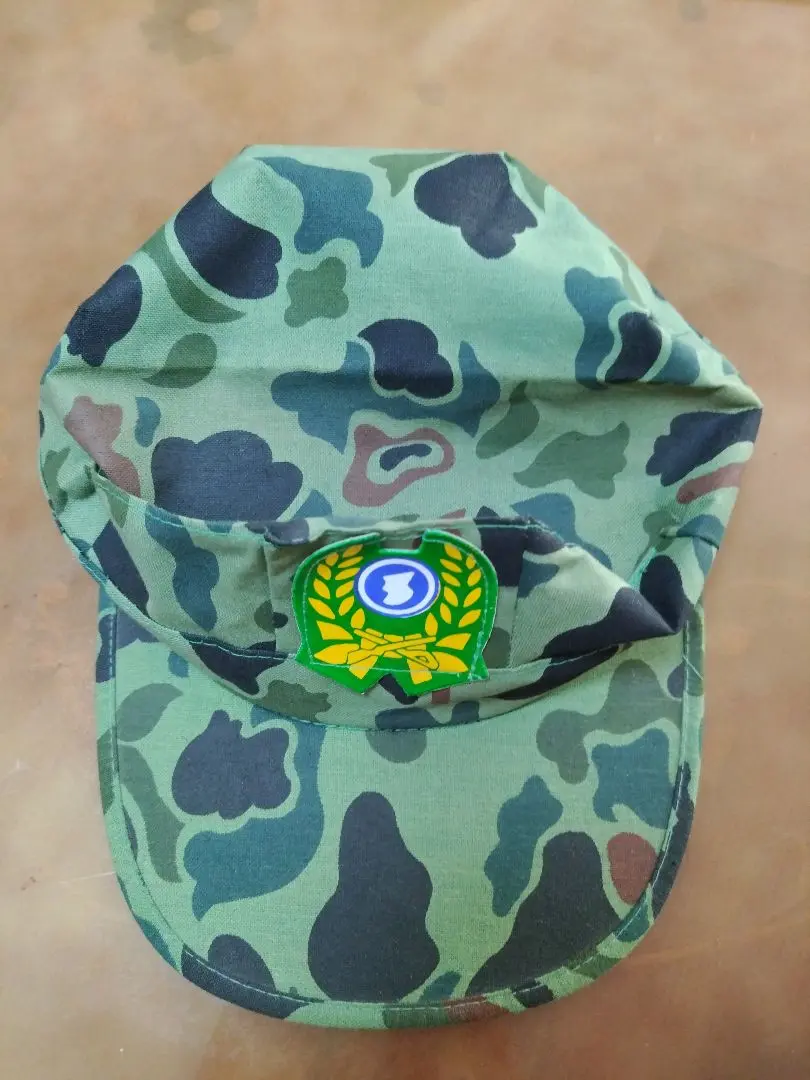 韓国軍 帽子 階級章付き 2025年最新】Yahoo!オークション -韓国軍 階級章(帽子)の中古品