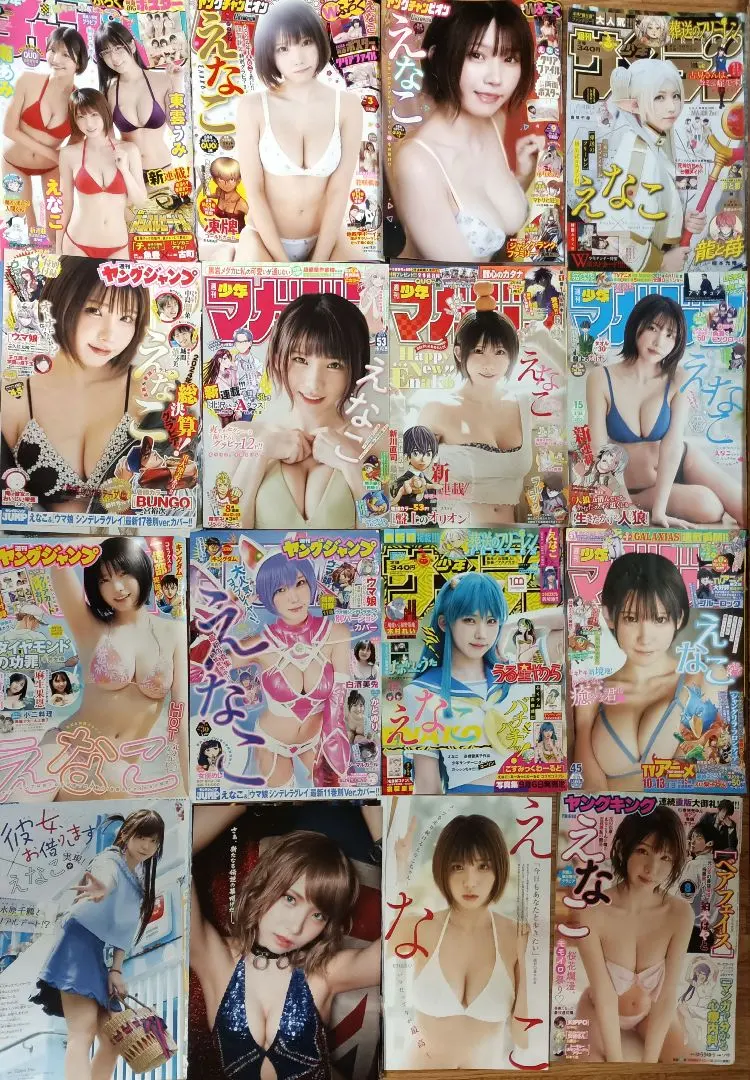 Thumbnail of Clippings: Cosplayer Enako, 150 pages