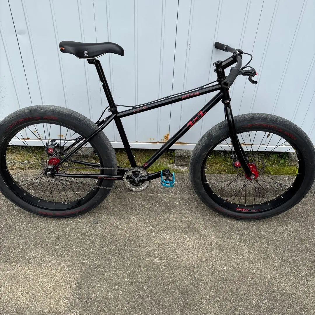surly 1x1=11 anniversary 限定 ホイールセット surly 1x1=11 anniversary 限定 ホイールセット