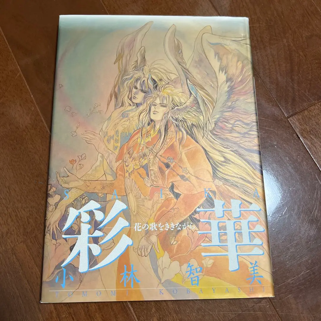 2025年最新】小林智美 画集の人気アイテム - メルカリ