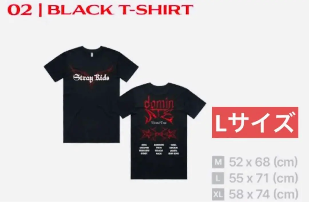 Stray Kids スキズ シンガポール Tシャツ チャコール L Stray Kids dominATE Charcoal T-shirt Singapore Manila