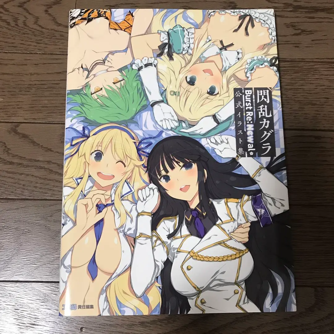 閃乱カグラ Burst Re:Newal 公式イラスト集 閃乱カグラ Burst Re:Newal』を題材にした公式ビジュアルブック