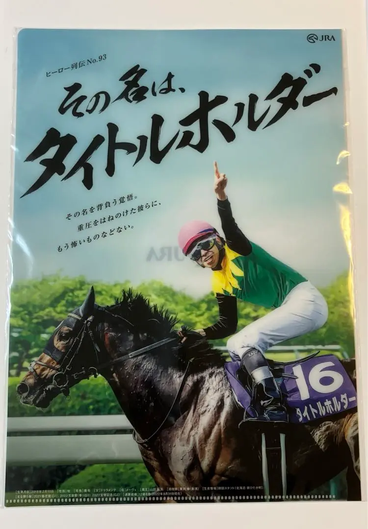 タイトルホルダー　ヒーロー列伝　クリアファイル 2025年最新】JRa クリアファイル タイトルホルダーの人気