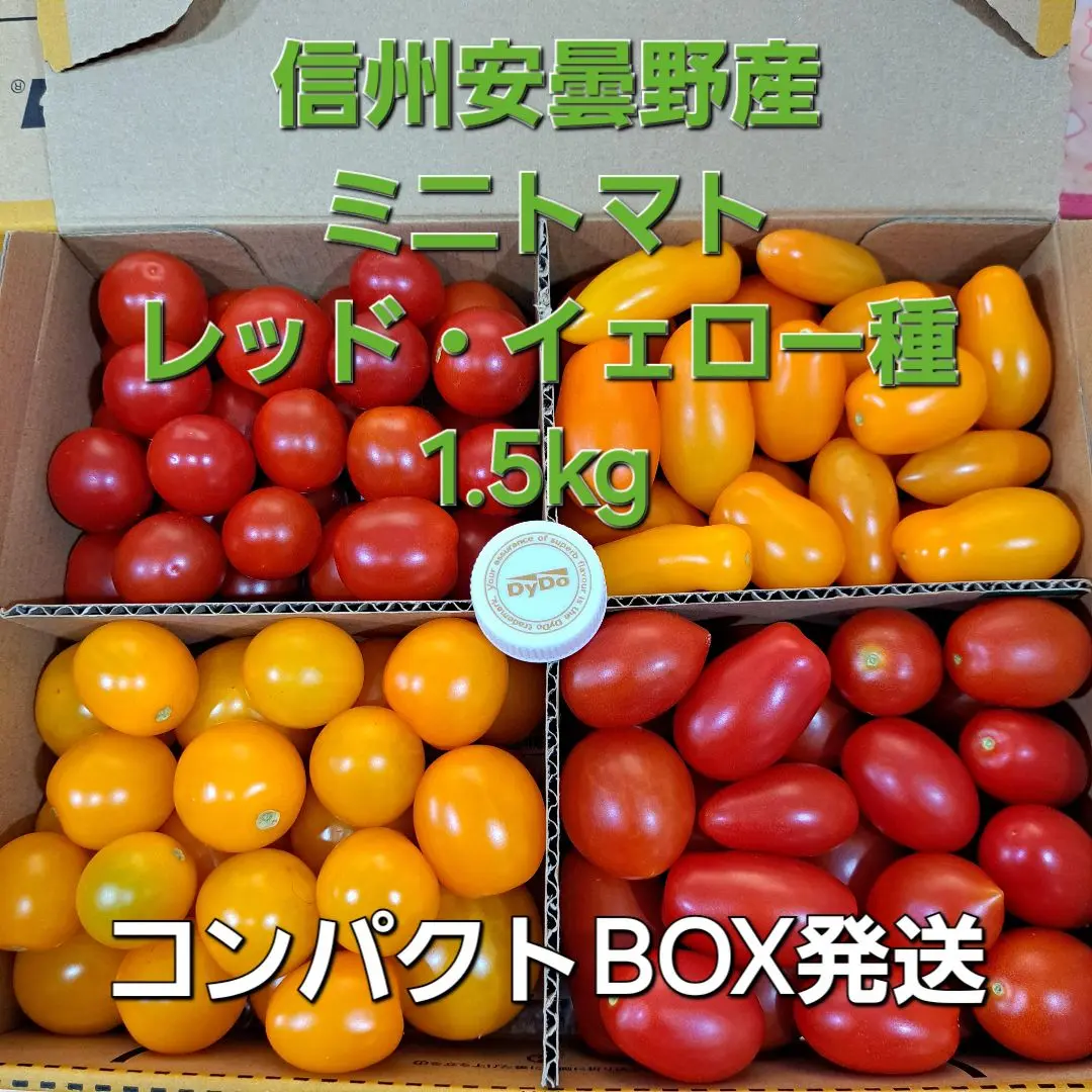 ミニトマトフラガール⭐️赤のみ5キロ ミニトマトフラガール⭐️赤のみ5キロ