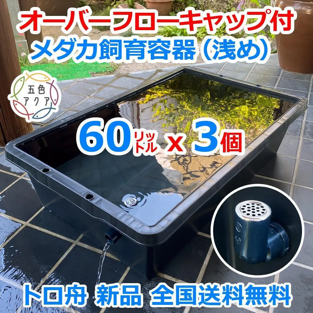 メダカ飼育ケース 60㍑x5個 オーバーフローキャップ付トロ舟 金魚 ビオトープ メダカ飼育ケース 60㍑x5個 オーバーフローキャップ付トロ舟