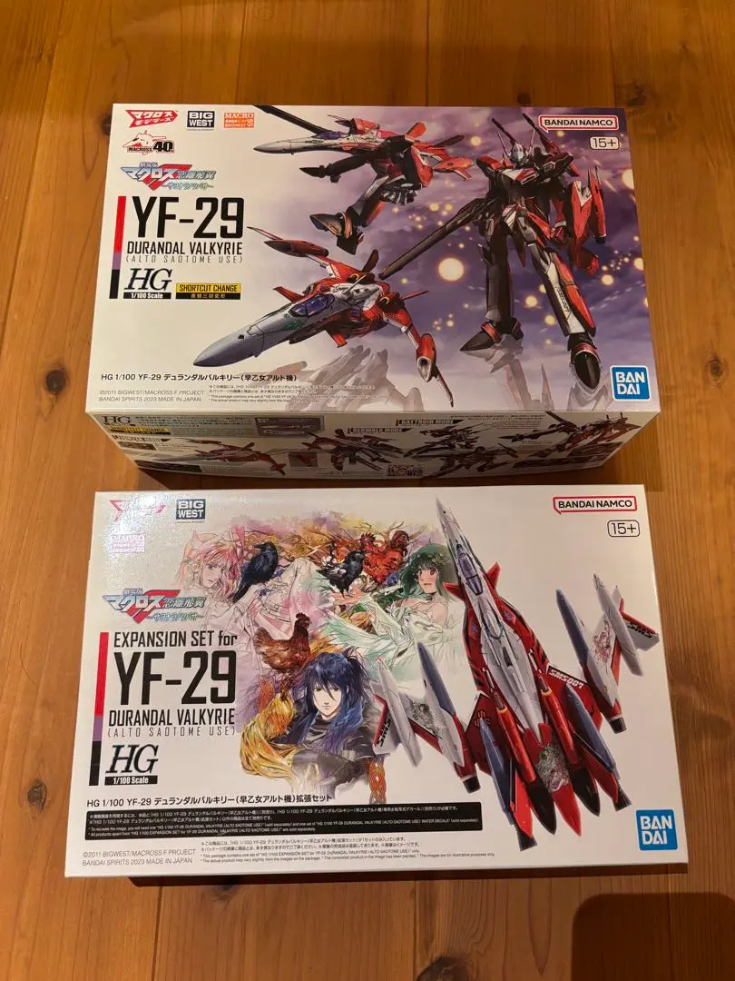 HG 1/100 YF－29 デュランダルバルキリー(早乙女アルト機