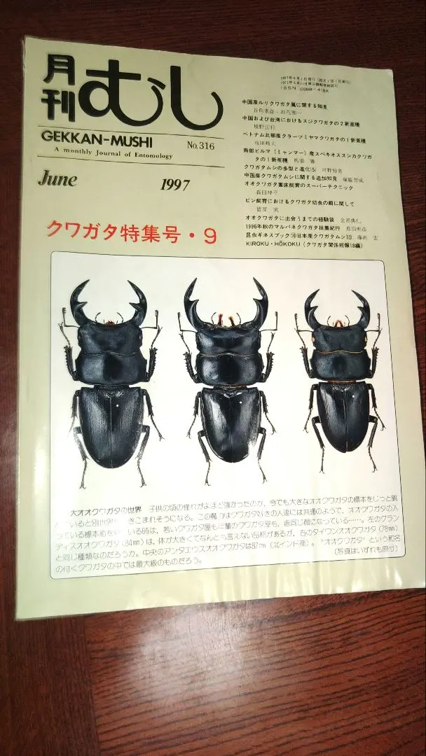 2025年最新】月刊むし クワガタ特集の人気アイテム - メルカリ