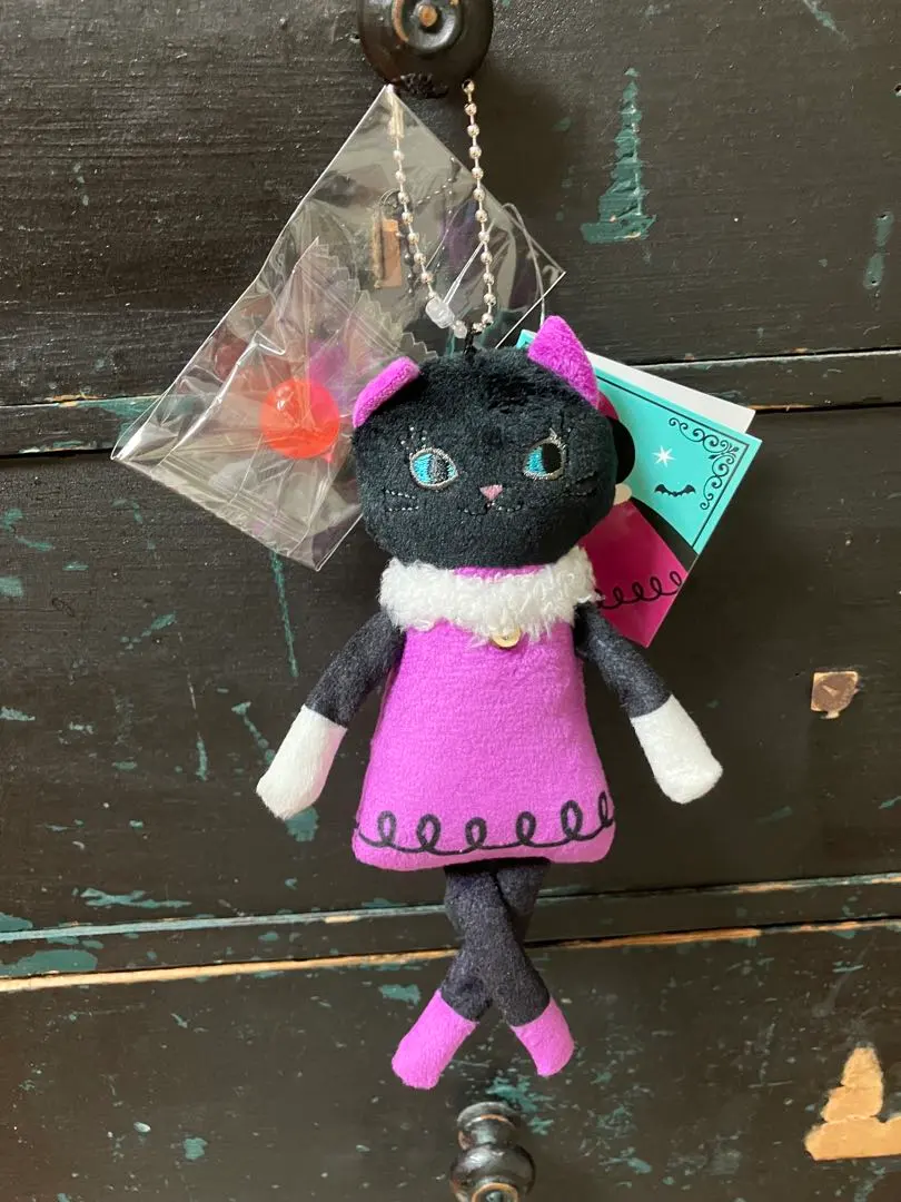 Thumbnail of Kaldi Halloween Ragdoll Cat