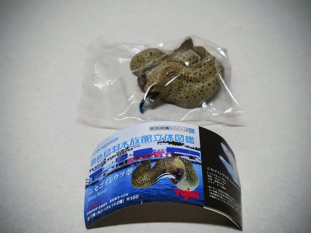 YUJIN 原色鳥羽水族館 立體圖鑑【隱藏版】假石斑海鰻 的縮圖