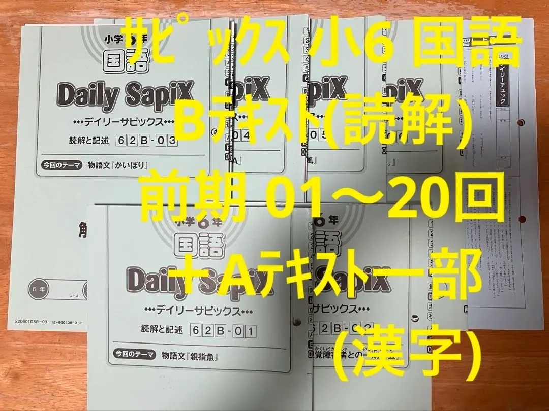 2025年最新】sapix 6年 国語 デイリーチェックの人気アイテム
