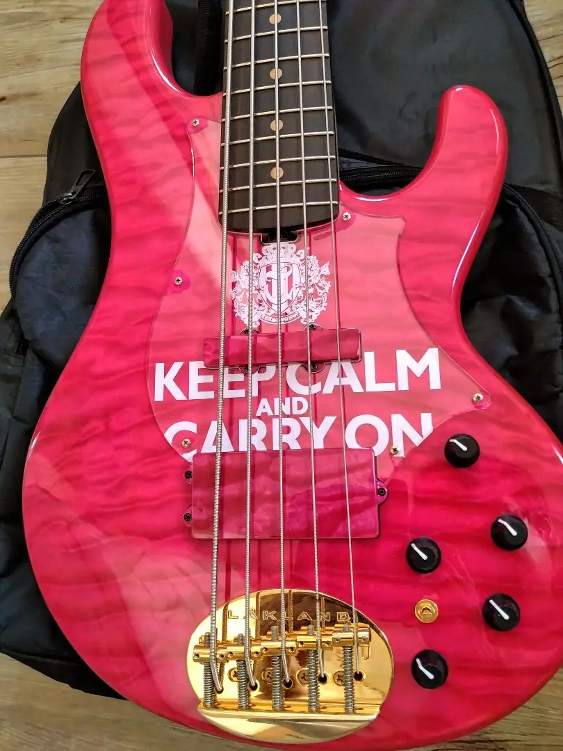lakland tetsuya ピックガード ESP - LAKLAND ピックガード L'Arc〜en〜Ciel tetsuyaモデルの