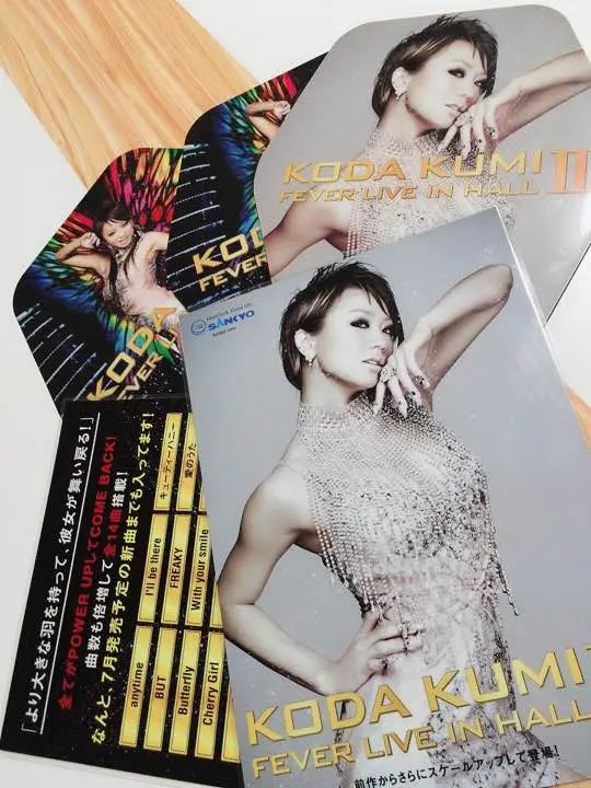 倖田來未 パチンコ展示会 非売品 倖田來未 FEVER KODA KUMI LEGEND LIVE カタログ 紙袋 SANKYO