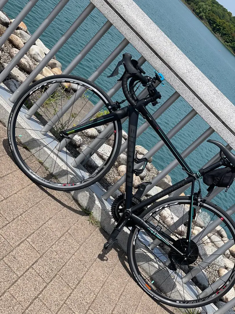 2025年最新】bianchi feniceの人気アイテム - メルカリ