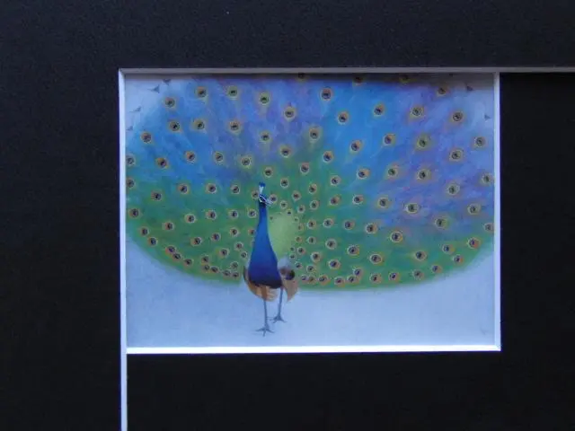 杉山寧、【沙】、新品高級額 額装付、年代物・希少画集画、状態良好 2025年最新】杉山寧 画集の人気アイテム - メルカリ