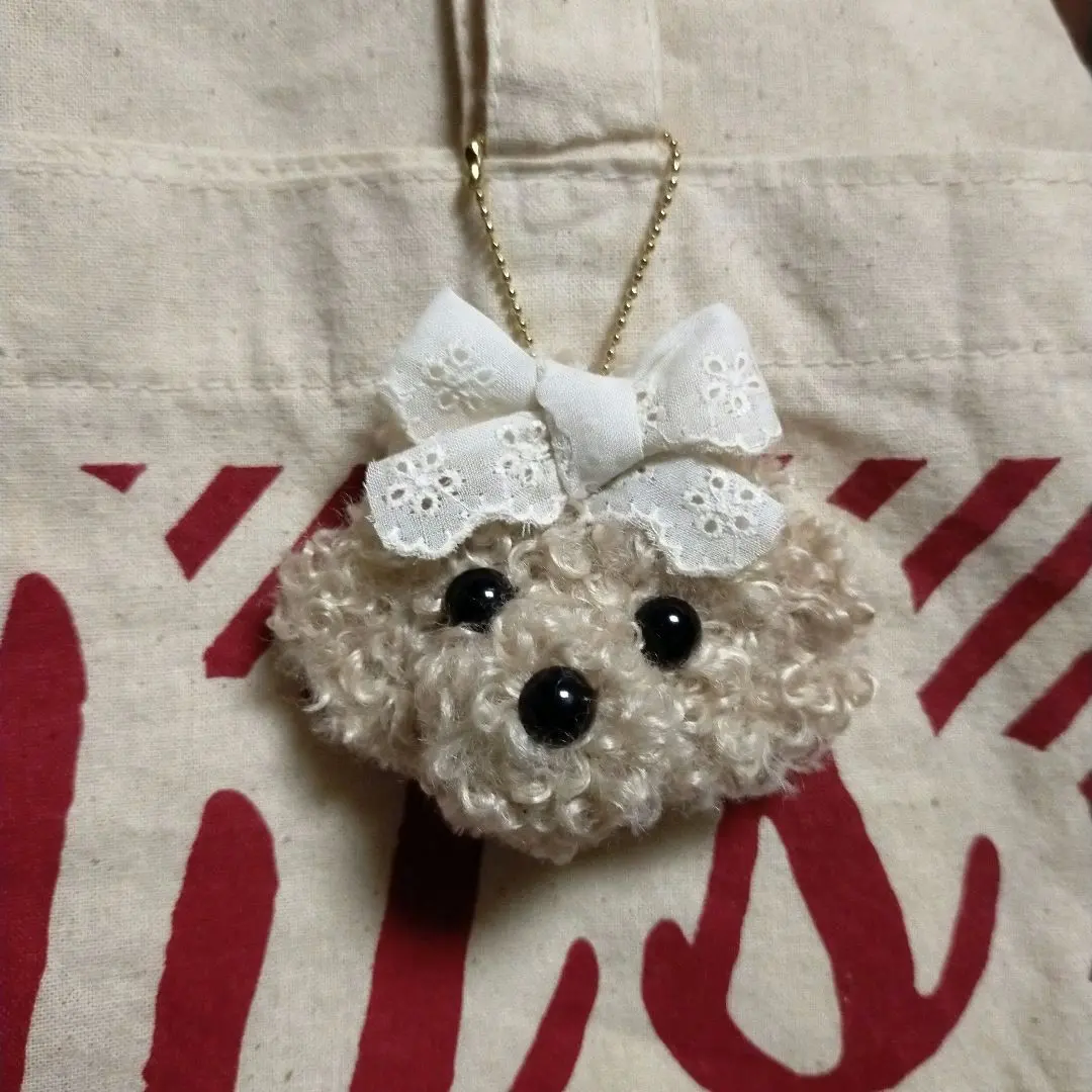 Thumbnail of Toy Poodle, Beige, Charm