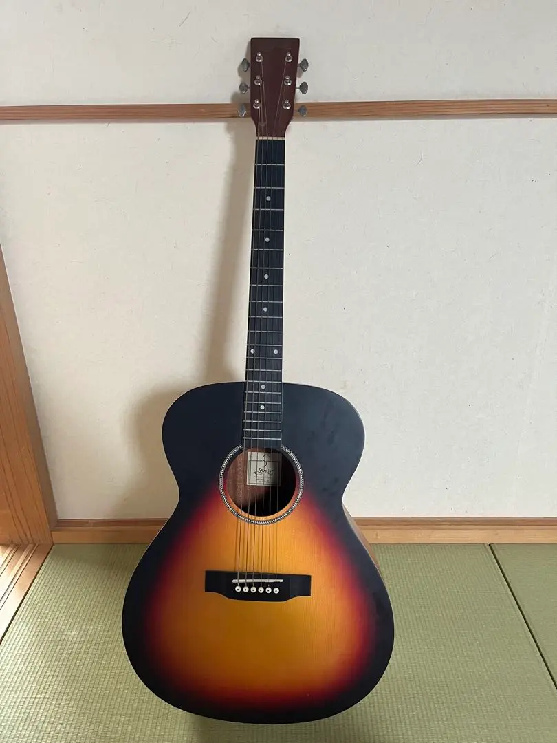 Svain アコースティックギター 6弦 Amazon | Breedlove Pursuit エキゾチック S コンサート 6弦