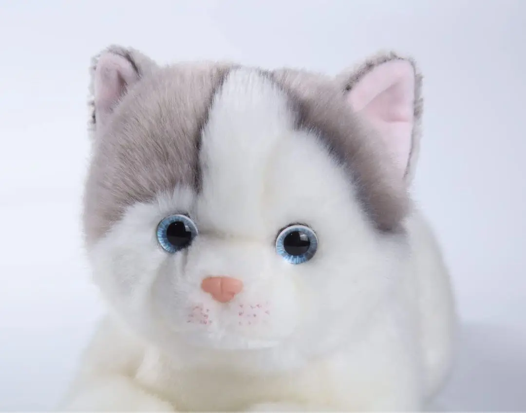 2025年最新】猫のぬいぐるみ ブリティッシュショートヘアの人気