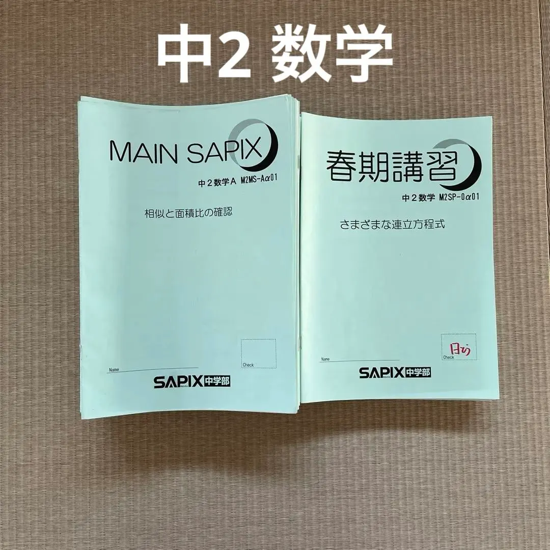 2025年最新】main sapixの人気アイテム - メルカリ