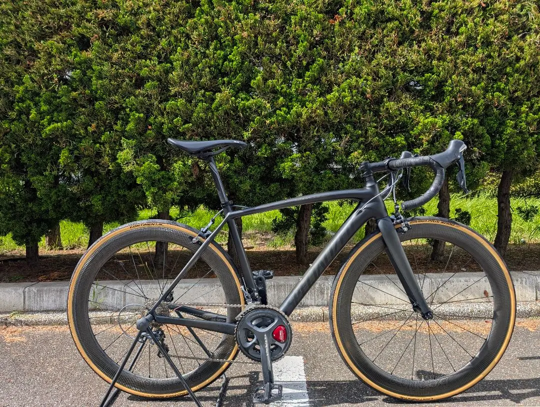 2025年最新】TARMAC SL4の人気アイテム - メルカリ