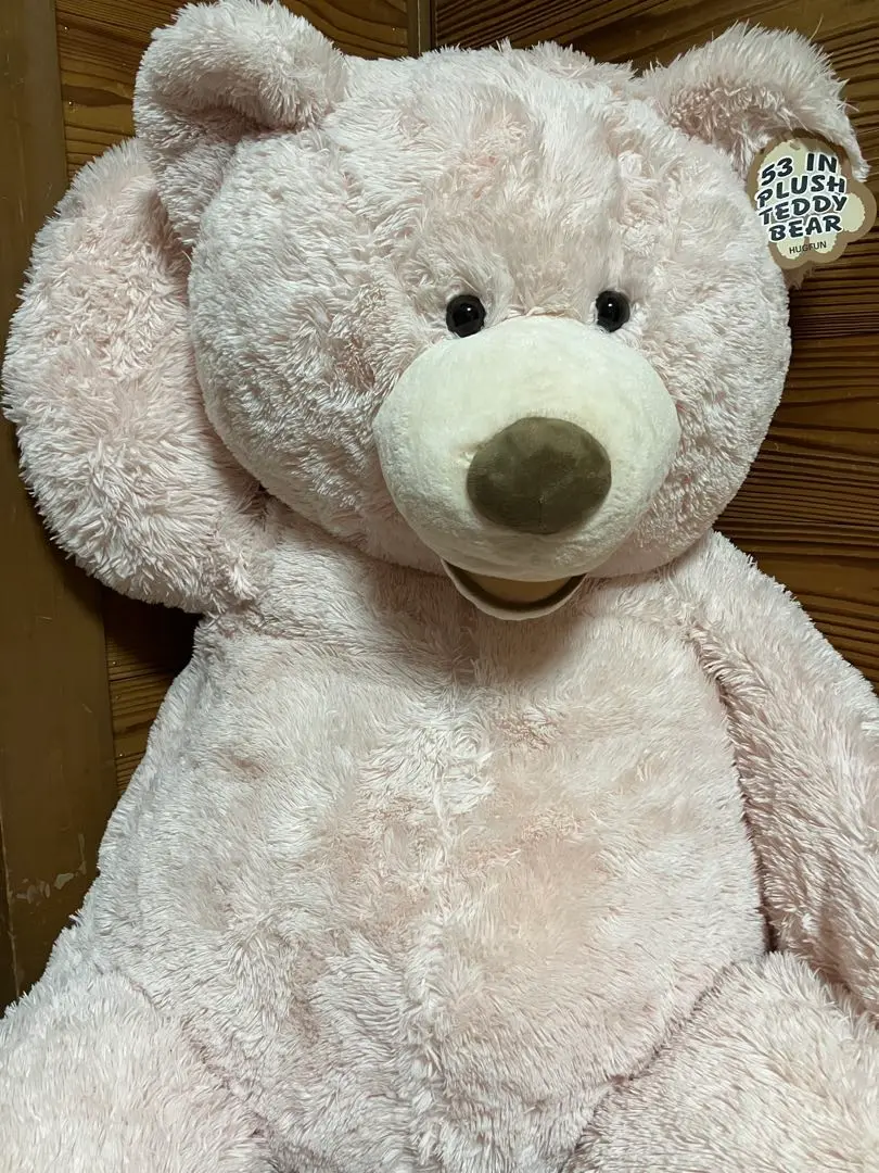 コストコ　テディベア　オフホワイト 135cm 楽天市場】即納 コストコ くま ぬいぐるみ 135cm 大きい