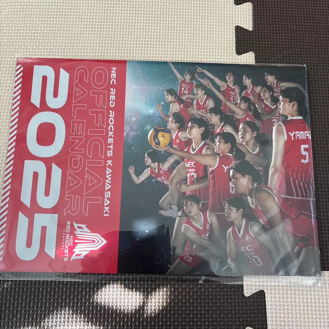 NEC RED ROCKETS川崎　非売品　ファンクラブ　グッズ ロケッツクルーフェス販売グッズ期間限定(～5/12)販売