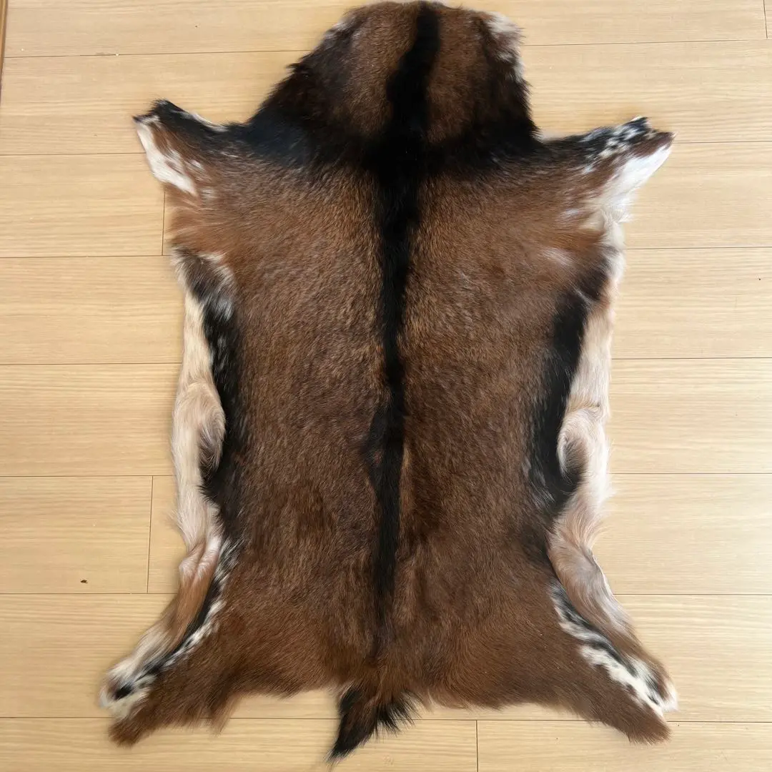 ヤギ　毛皮　ラグ　約70×90cm　ウサギの毛皮 管理番号3 2025年最新】ヤギ 毛皮 ラグの人気アイテム - メルカリ