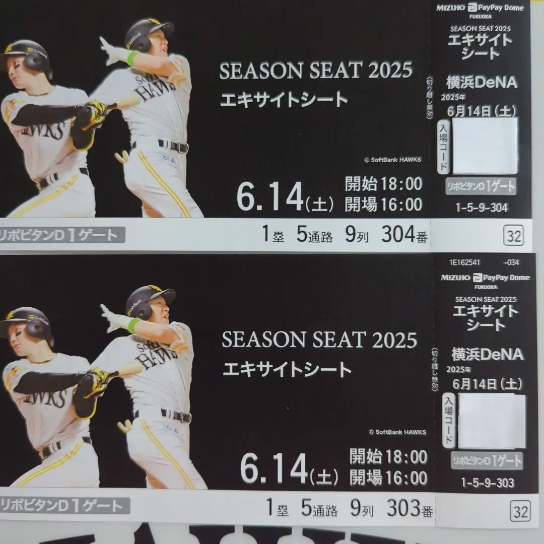 横浜Denaベイスターズ6月9日チケット 2024年6月9日横浜DeNAベイスターズ交流戦チケット ベイフロント