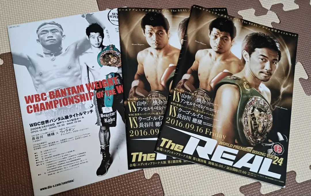 ボクシング ポスター boxing poster長谷川穂積✕ウィラポン 第2