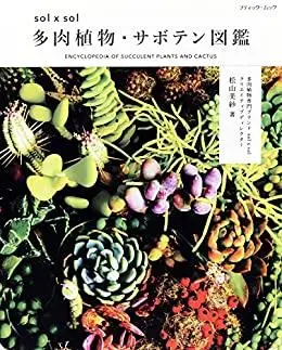 2025年最新】多肉植物写真集の人気アイテム - メルカリ