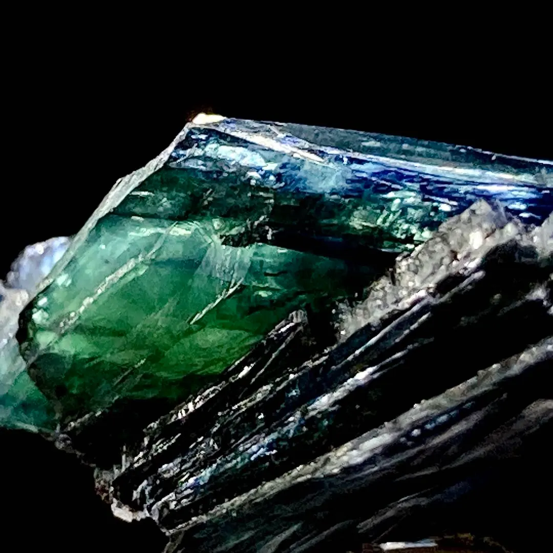 2025年最新】ビビアナイトの人気アイテム - メルカリ