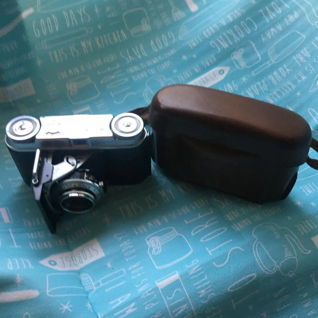 2025年最新】Voigtlander 蛇腹カメラの人気アイテム - メルカリ