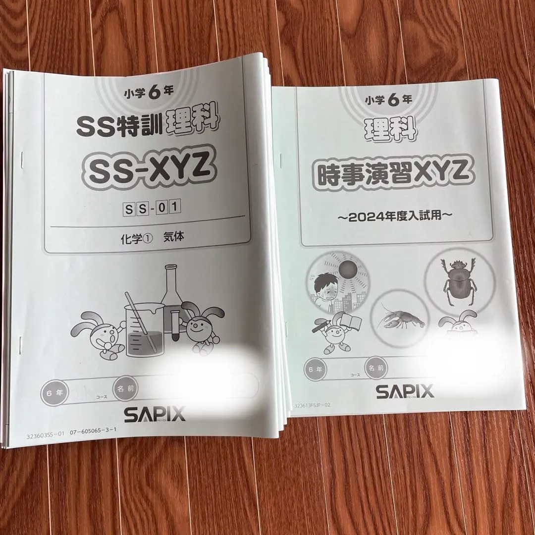 入手困難☆希少☆ SAPIX 6 2018年度フルセットその1
