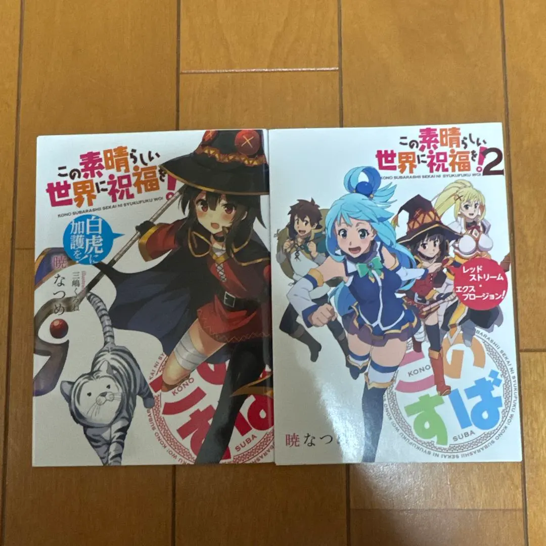 人気のライトノベルこのすばシリーズ一式まとめ売り！ 人気のライトノベルこのすばシリーズ一式まとめ売り！ 2025年最新