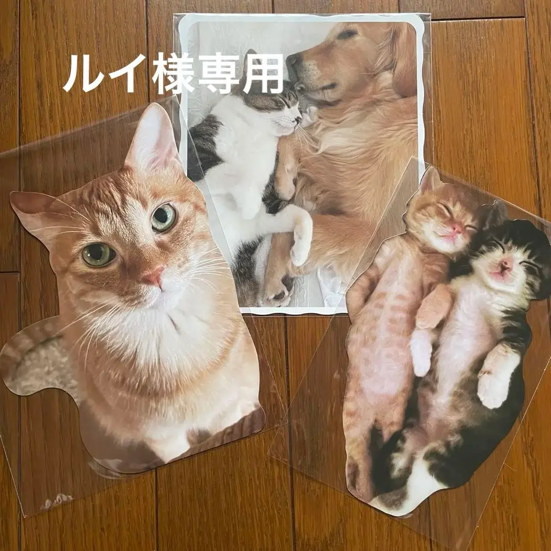 石田ゆり子＆Closs＆Cross　ハニオ猫イラストTシャツとキーホルダーセット 石田ゆり子ICECoffee 猫 ハニオ ロングTシャツ、カード
