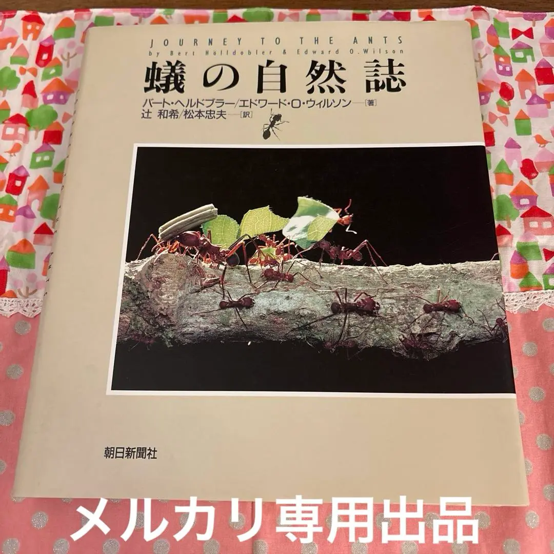 蟻の自然誌　値下げ 2025年最新】蟻の自然誌の人気アイテム - メルカリ