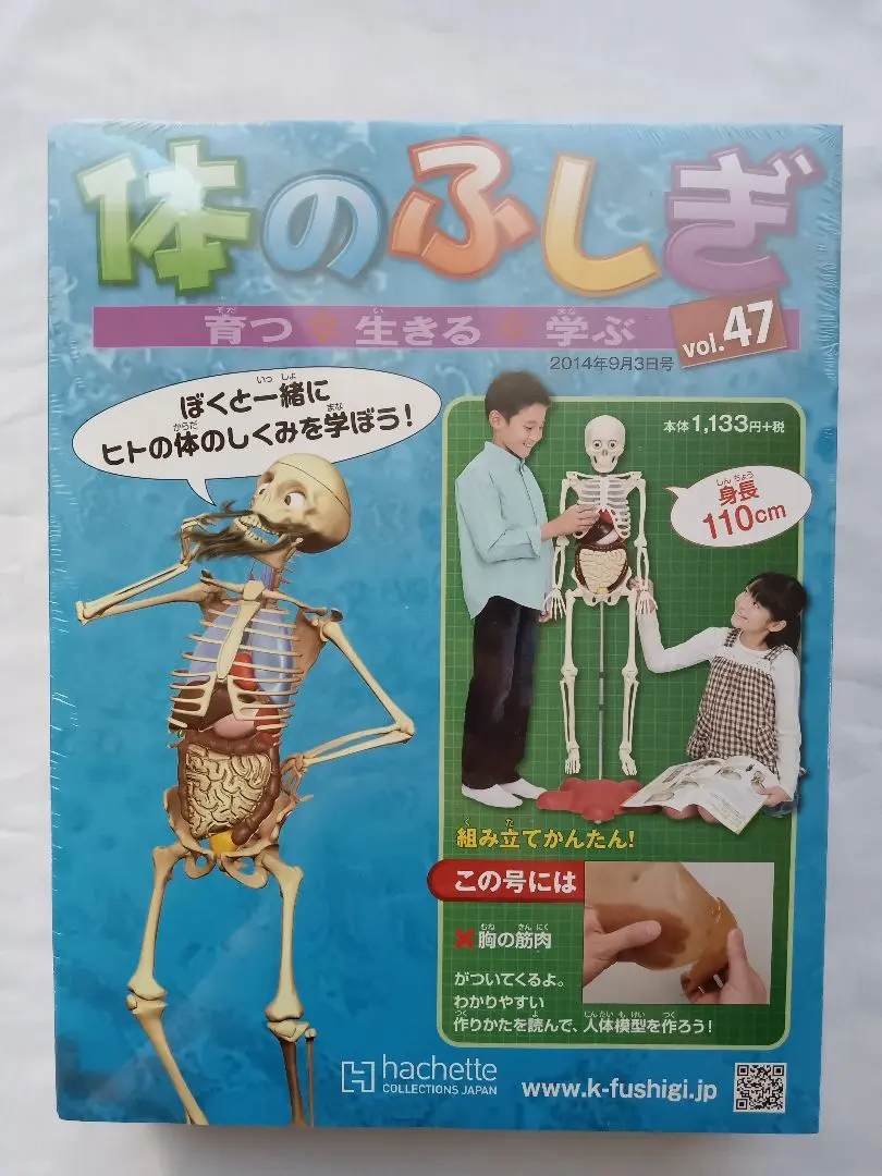 2025年最新】体のふしぎ アーサーの人気アイテム - メルカリ