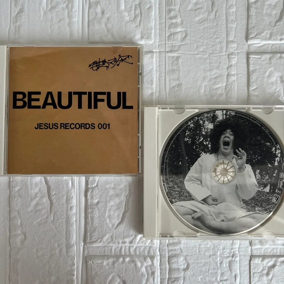 新品未再生☆毛皮のマリーズ ビューティフル レコード BEAUTIFUL 2025年最新】毛皮のマリーズ ビューティフルの人気アイテム