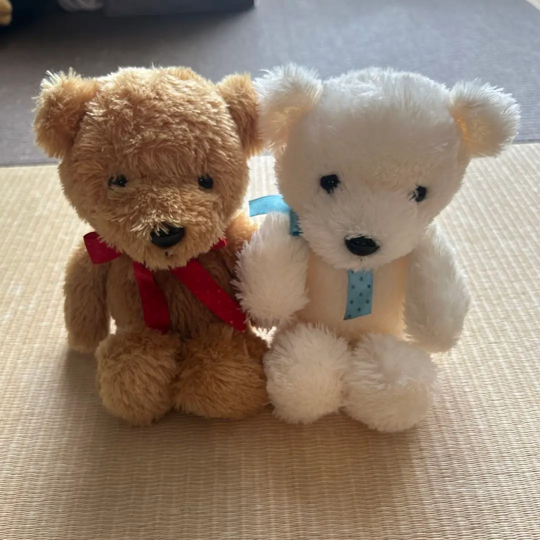 Thumbnail of Teddy bear plushie set