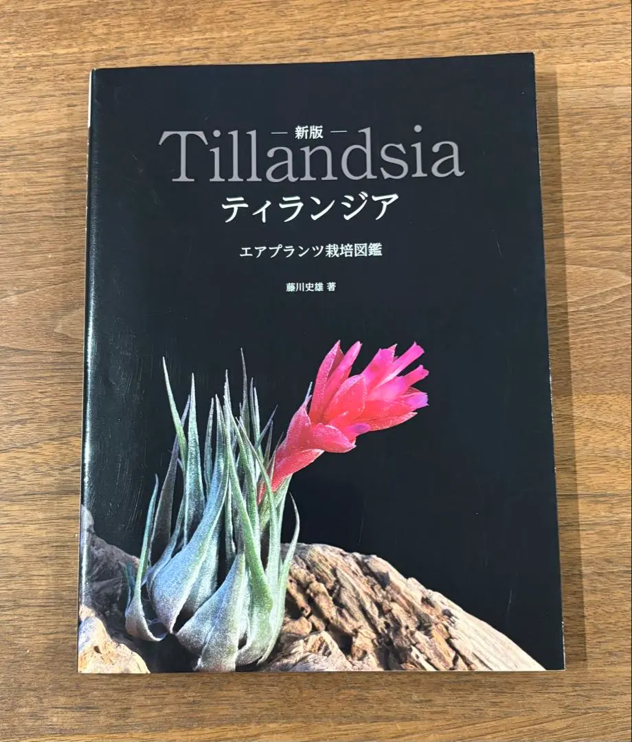 セール！ 洋書『ベネズエラの山岳植物、アンデスとテプイ、ブロメリア』植物図鑑 2025年最新】ブロメリア図鑑の人気アイテム - メルカリ