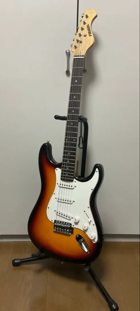 Electric Guitar Student Beginner Introductory Set,point