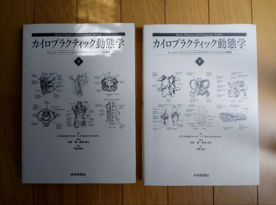 裁断済　カイロプラクティック動態学　下巻 カイロプラクティック動態学: モ-ション・パルペ-ションとカイロ