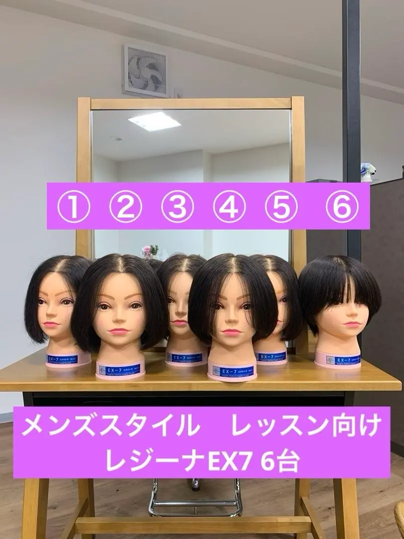 未使用⭐︎レジーナ .EX-7 人毛ウィッグ 3個セット レジーナ No.EX-7【基礎カット用/人毛100%】の卸・通販