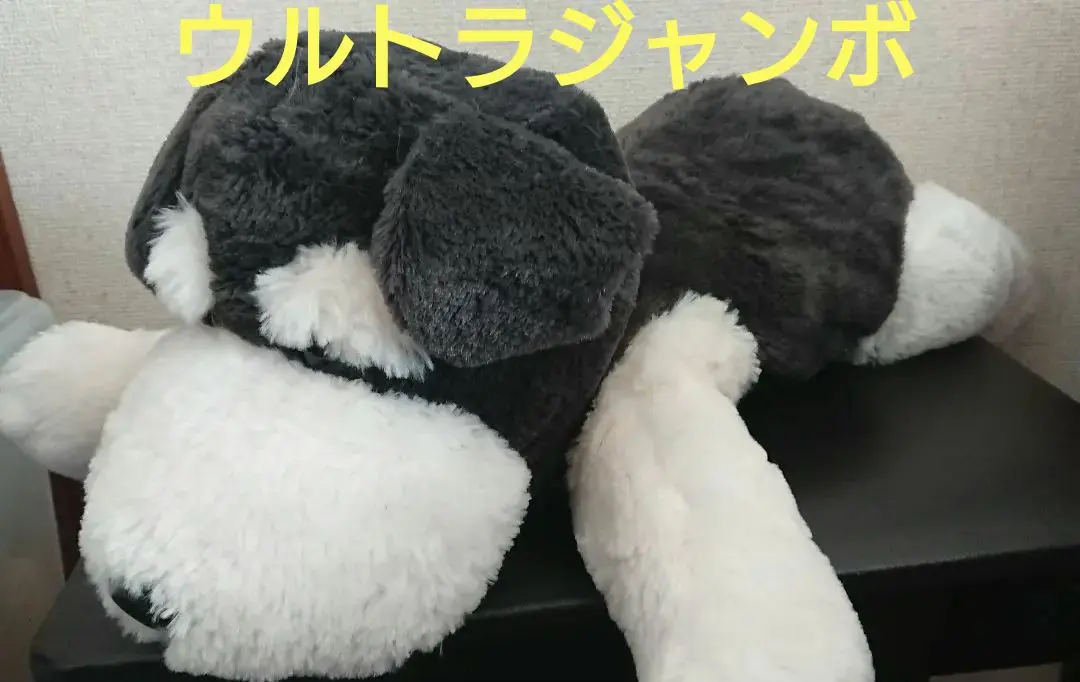 2025年最新】くったりシュナウザー jbの人気アイテム - メルカリ
