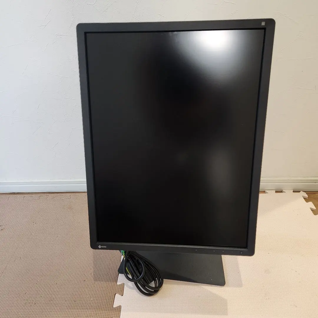 【新品未使用品】液晶モニターRadiForce MX194 EIZO ブラック Eizo MX194 1MP Clinical Review Monitor Display