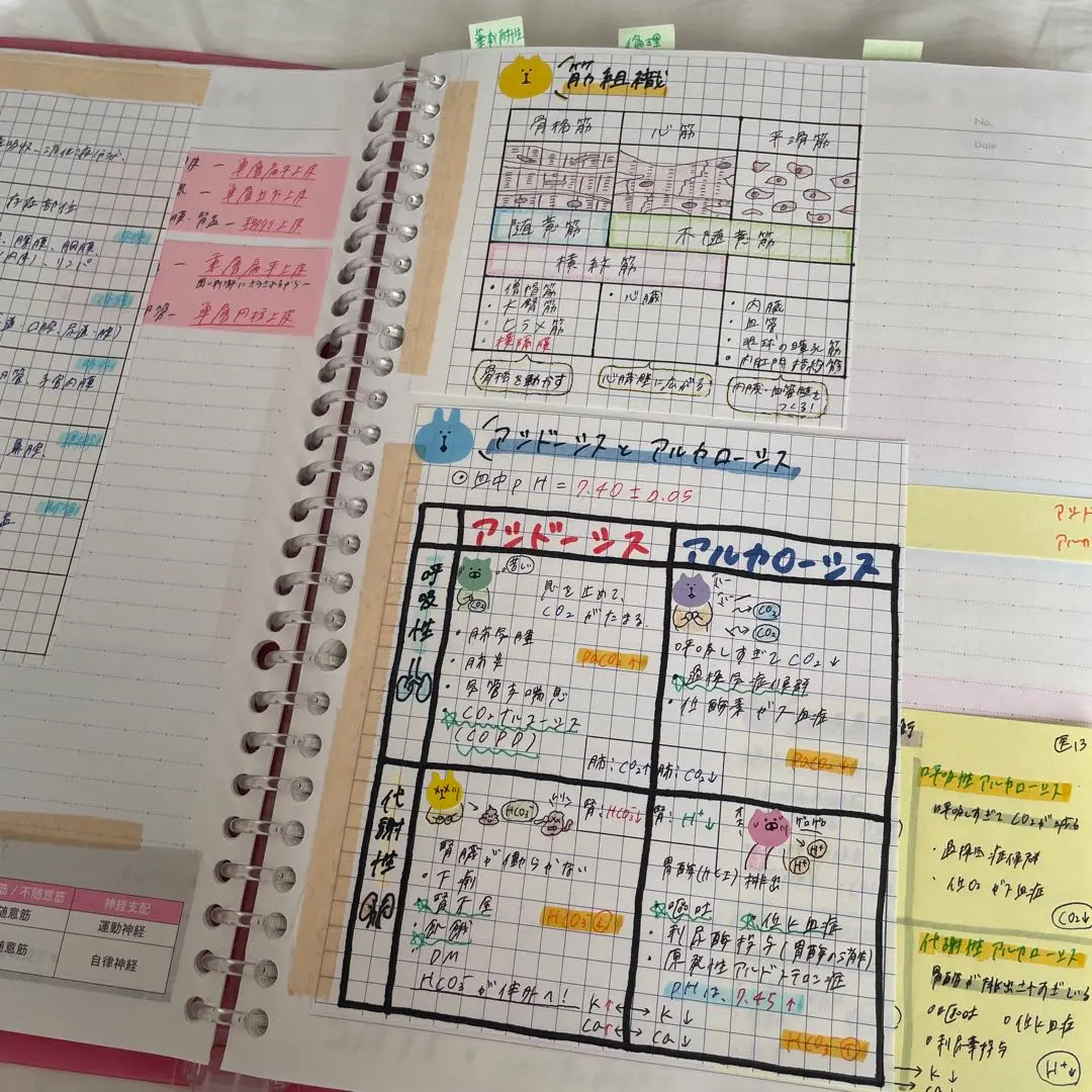 【原本発送】臨床検査技師国家試験 付箋ノート　ファイル2冊分 原本発送】臨床検査技師国家試験 付箋ノート ファイル2冊分