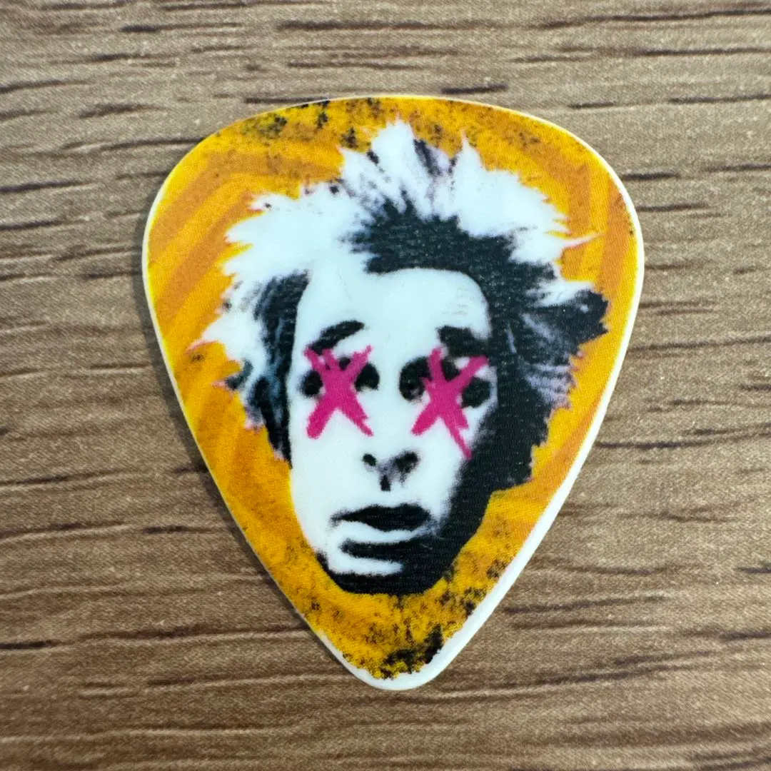 GREEN DAY Guitar Pick stage-used by Jason White Green Day