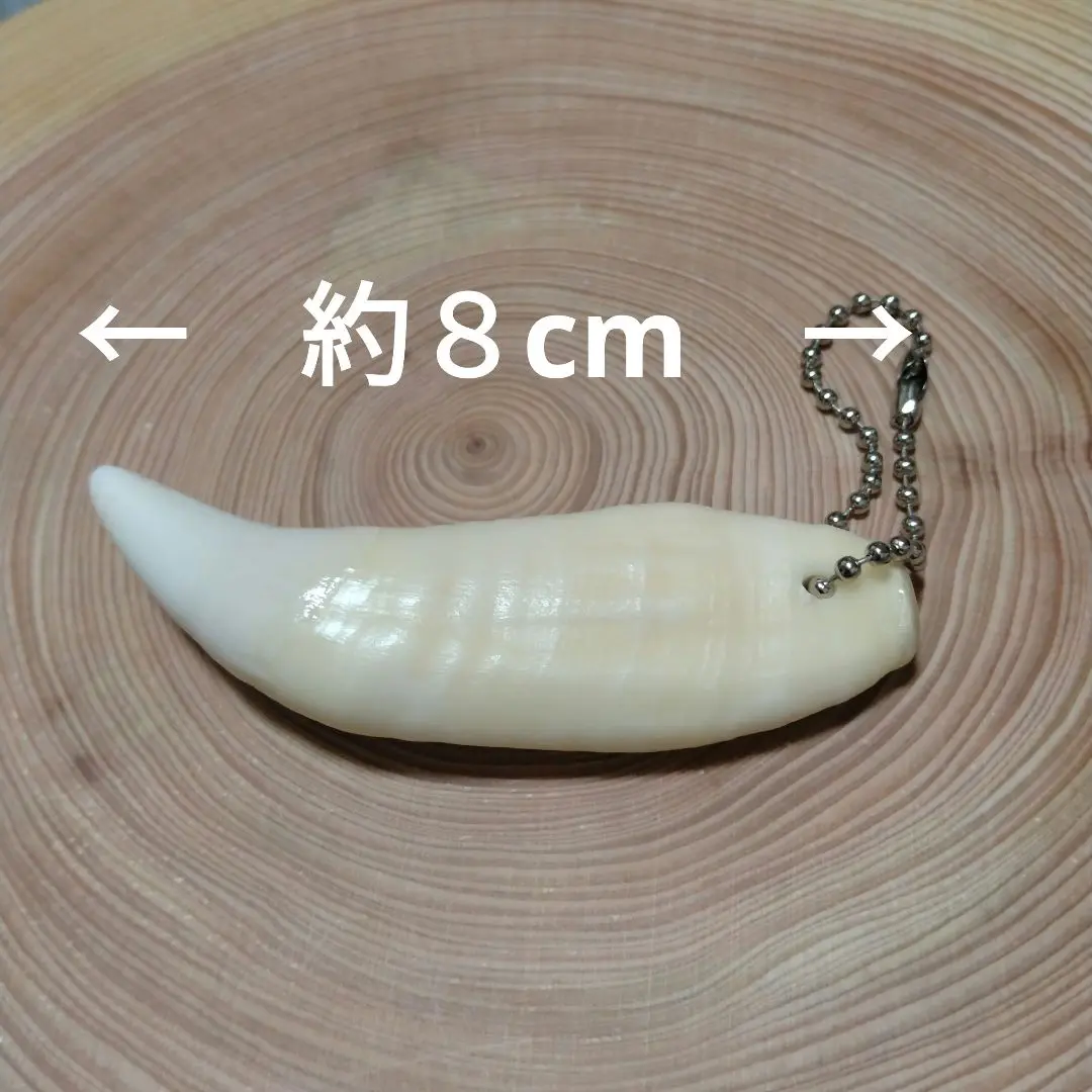 羆　ヒグマ　牙　2本セット 2025年最新】ヒグマ牙の人気アイテム - メルカリ